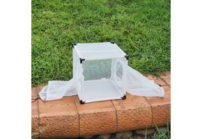 Bugdorm 4M3030D Zuchtkäfig