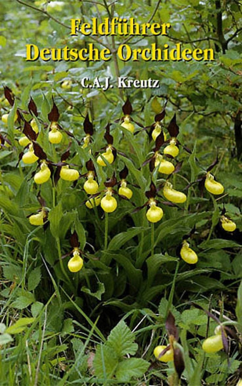 Feldführer Deutsche Orchideen