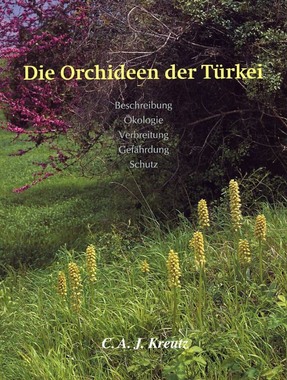 Die Orchideen der Türkei - Beschreibung, Okologie, Verbreitung, Gefährdung, Schutz
