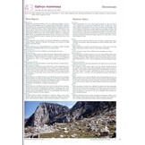 Die Orchideen von Rhodes und Karpathos / The Orchids of Rhodes and Karpathos