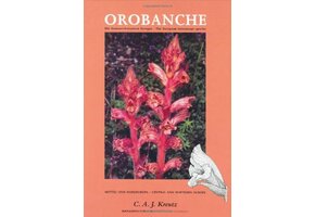 Orobanche Die Sommerwurzarten Europas / The European Broomrape Species
