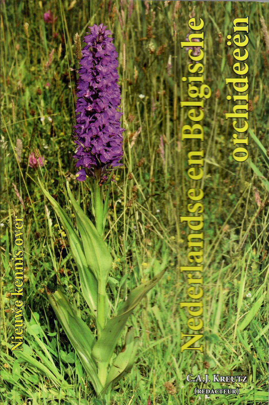 Nieuwe kennis over Nederlandse en Belgische orchideeën