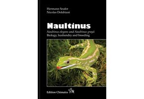 Naultinus - Naultinus elegans and Naultinus grayii