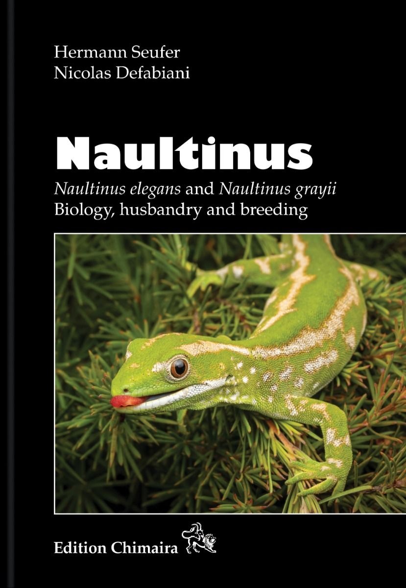 Naultinus - Naultinus elegans and Naultinus grayii - Biology, husbandry and breeding