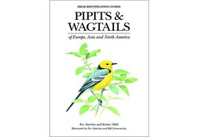 Pipits and Wagtails of Europe, Asia and North America
