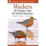 Waders of Europe, Asia and North America