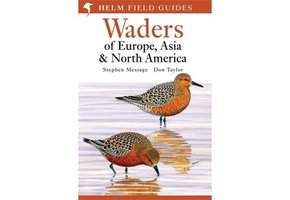 Waders of Europe, Asia and North America