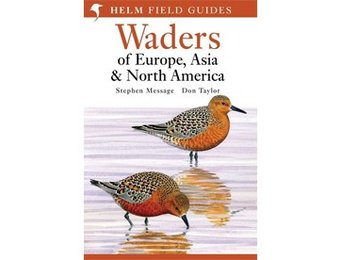 Waders of Europe, Asia and North America