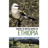 Where to Watch Birds in Ethiopia