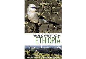 Where to Watch Birds in Ethiopia