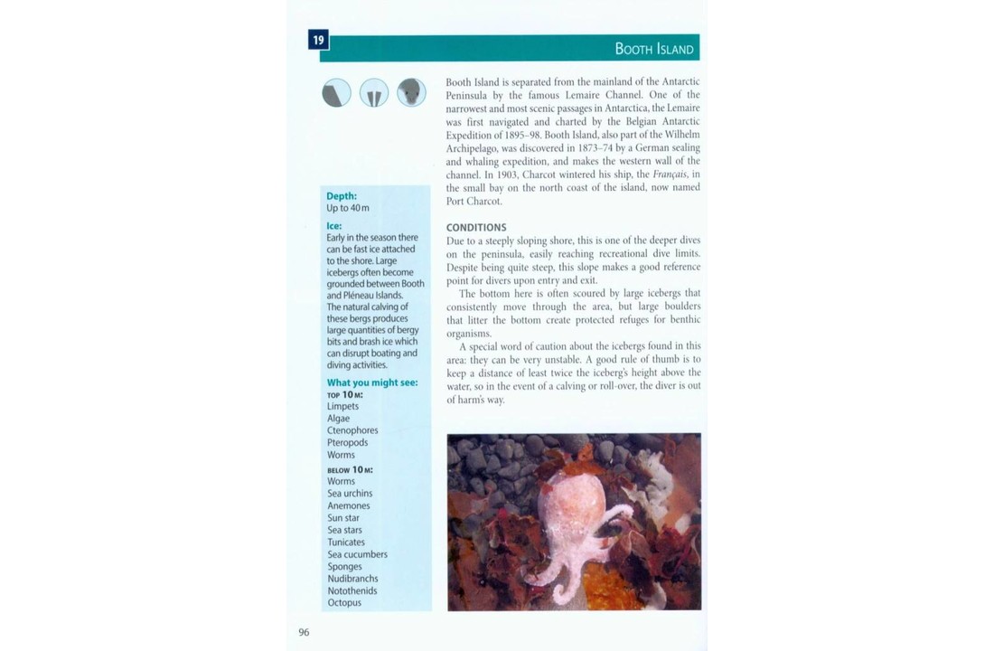 Antarctic Dive Guide
