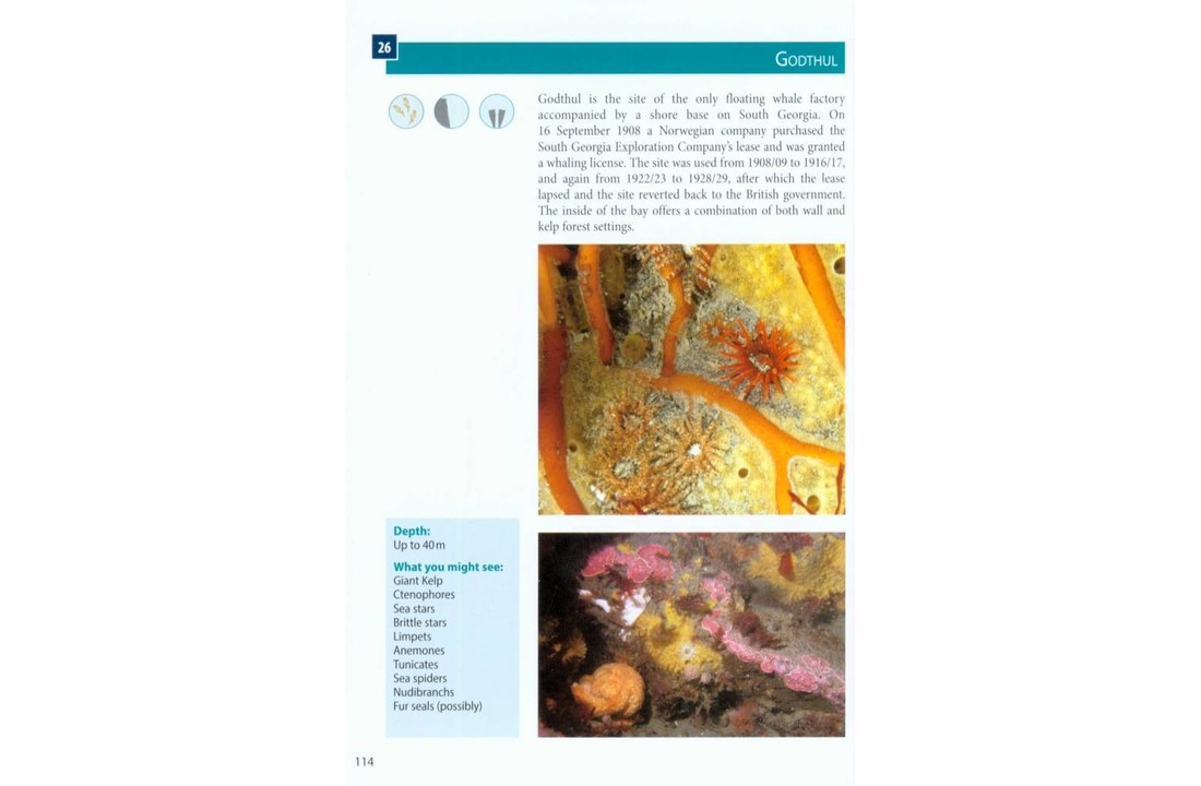 Antarctic Dive Guide