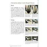 Identification Atlas of the Continental Birds of Southwestern Europe