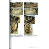 Identification Atlas of the Continental Birds of Southwestern Europe