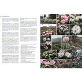 Guide to the Flowers of Western China