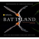 Bat Island: A Rare Journey into the Hidden World of Tropical Bats