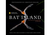 Bat Island