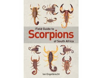 Field Guide to Scorpions of South Africa