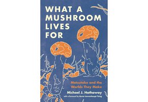 What a Mushroom Lives For