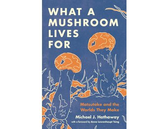 What a Mushroom Lives For