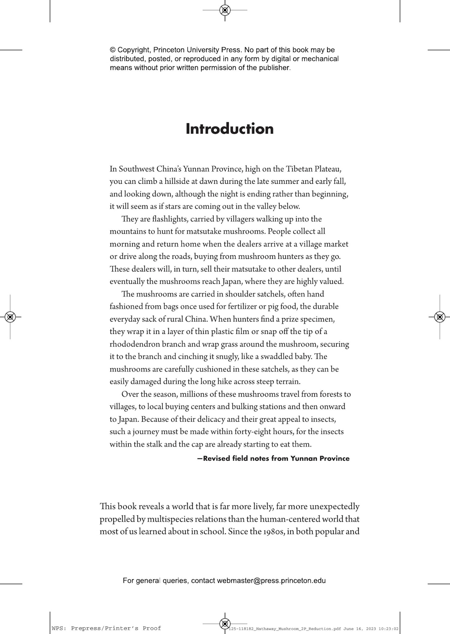 What a Mushroom Lives For - Matsutake and the Worlds They Make