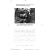 What a Mushroom Lives For - Matsutake and the Worlds They Make