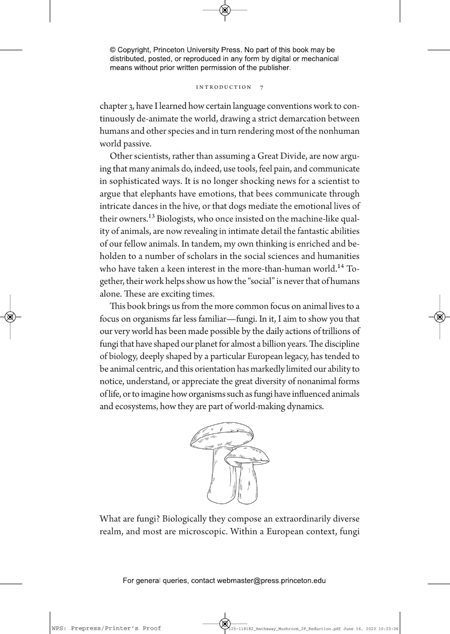 What a Mushroom Lives For - Matsutake and the Worlds They Make