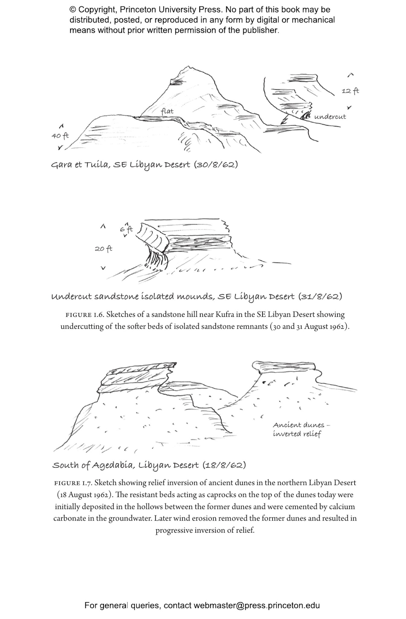 When the Sahara Was Green - How Our Greatest Desert Came to Be