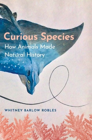 Curious Species - How Animals Made Natural History