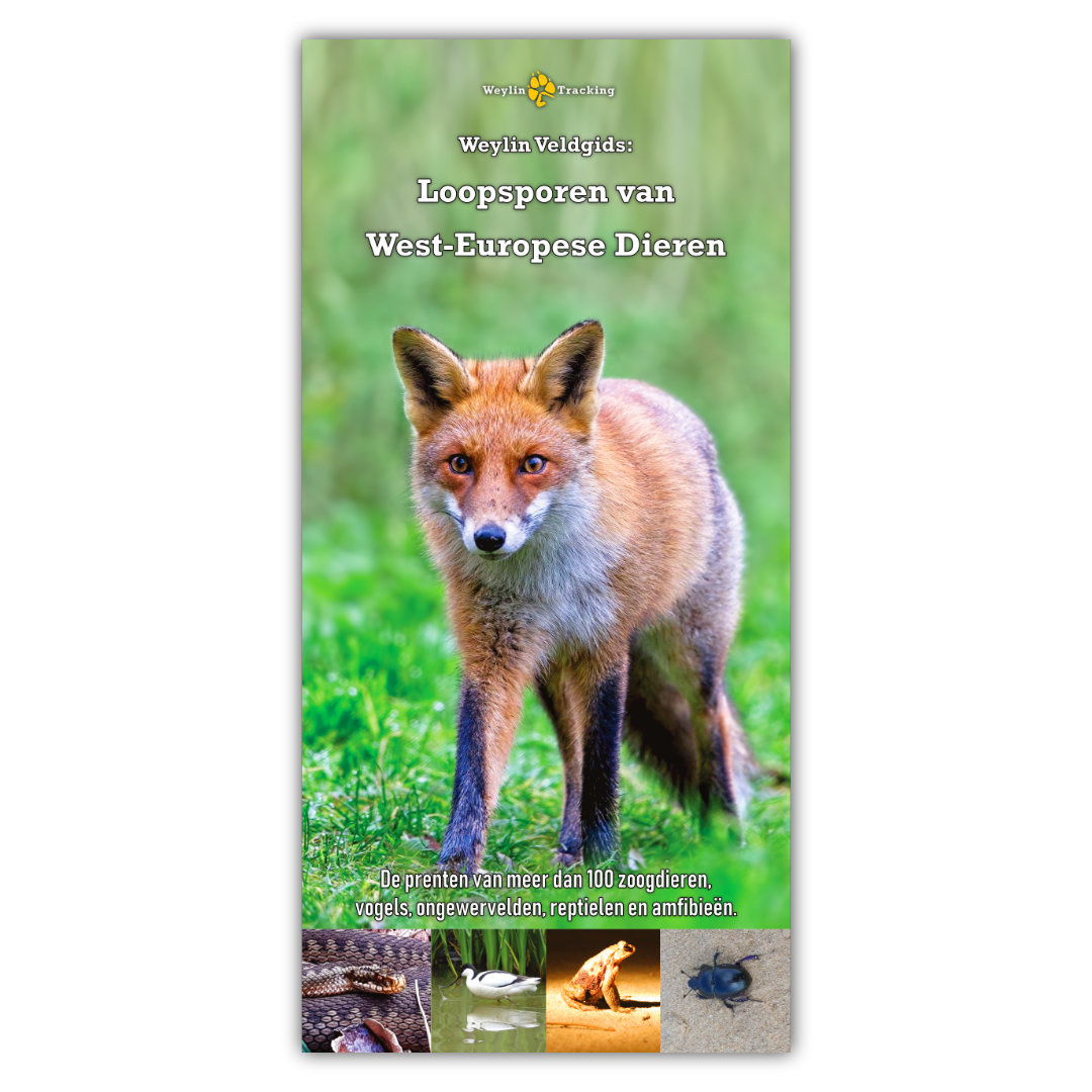Weylin Veldgids Loopsporen van West-Europese Dieren
