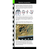 Weylin Veldgids Loopsporen van West-Europese Dieren