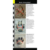 Weylin Veldgids Loopsporen van West-Europese Dieren