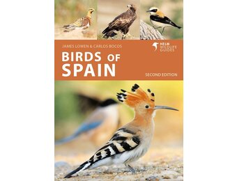 Birds of Spain