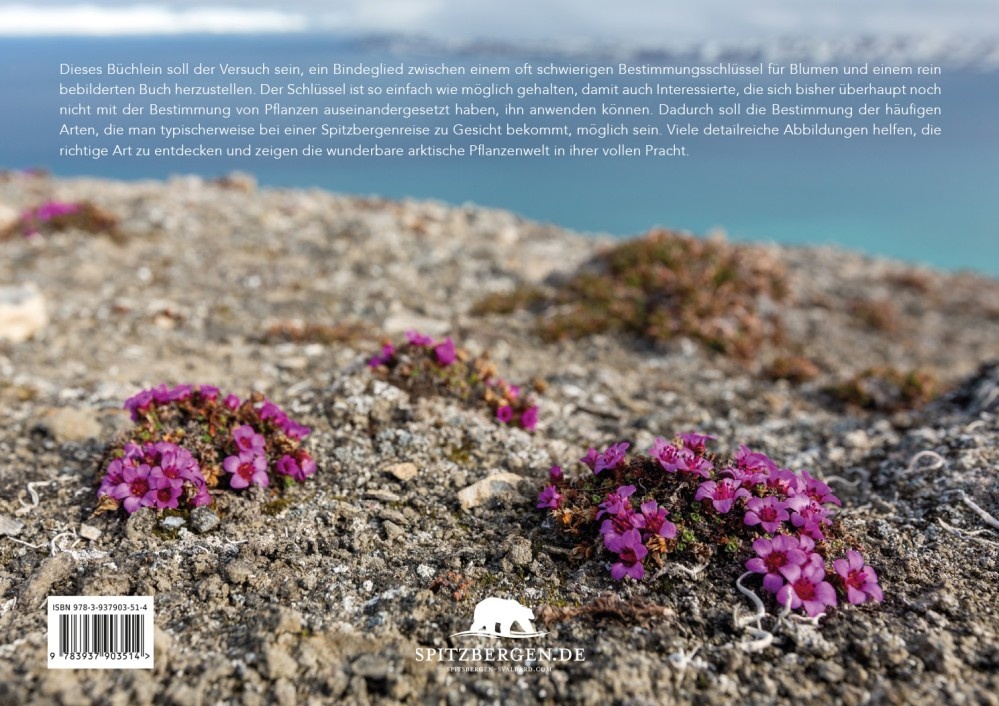 Blumen des arktischen Nordens - Eine Reise durch Spitzbergens Flora