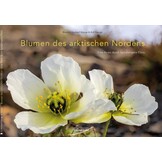 Blumen des arktischen Nordens - Eine Reise durch Spitzbergens Flora