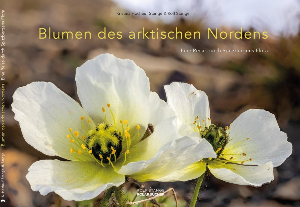 Blumen des arktischen Nordens - Eine Reise durch Spitzbergens Flora