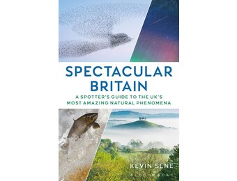 Spectacular Britain