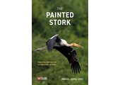 The Painted Stork
