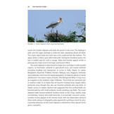 The Painted Stork - Exploring Ecology and Conservation in India