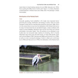 The Painted Stork - Exploring Ecology and Conservation in India