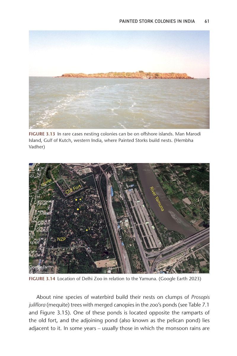 The Painted Stork - Exploring Ecology and Conservation in India