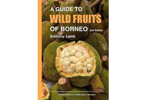 A Guide to Wild Fruits of Borneo