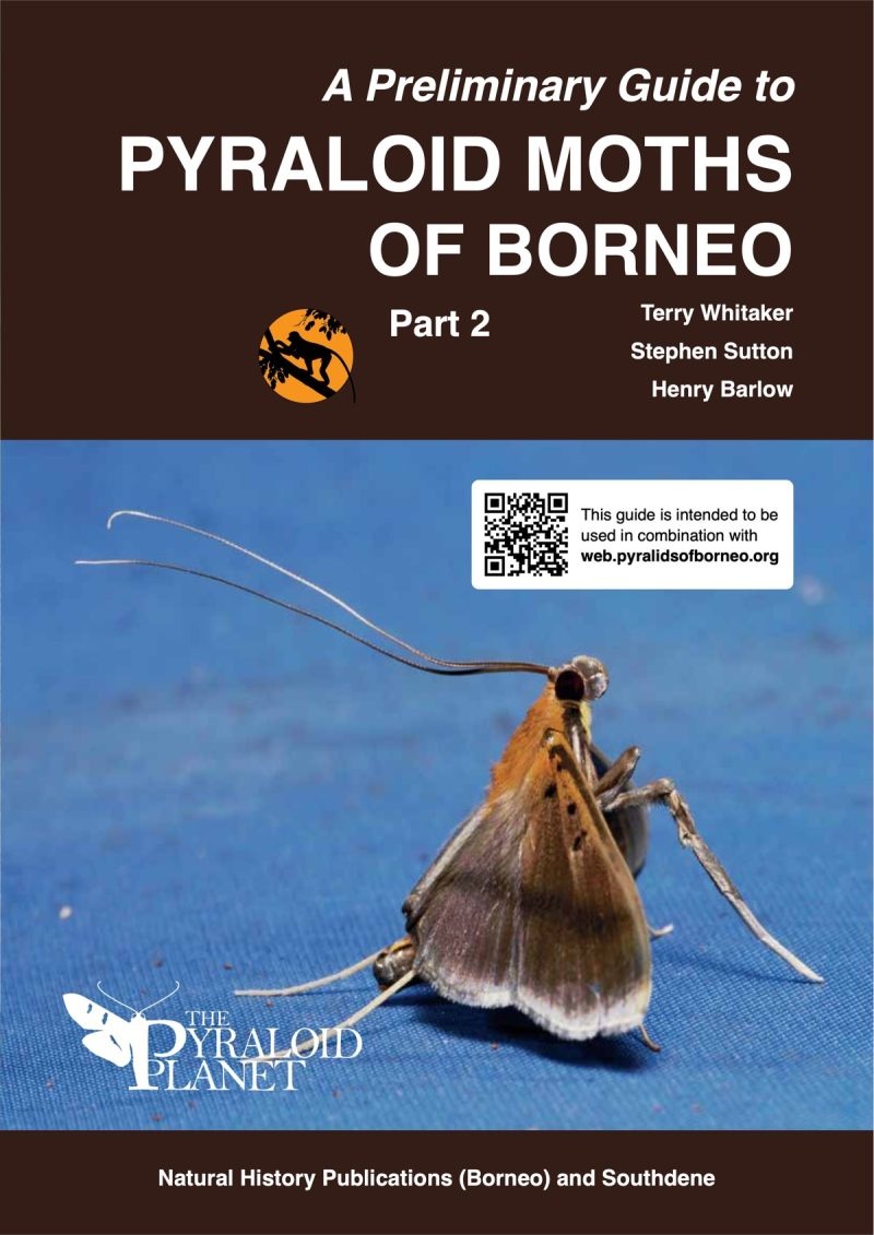 A Preliminary Guide to Pyraloid Moths of Borneo: Part 2