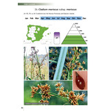 Field Guide of Spanish and Portuguese Sedges (Cyperaceae)