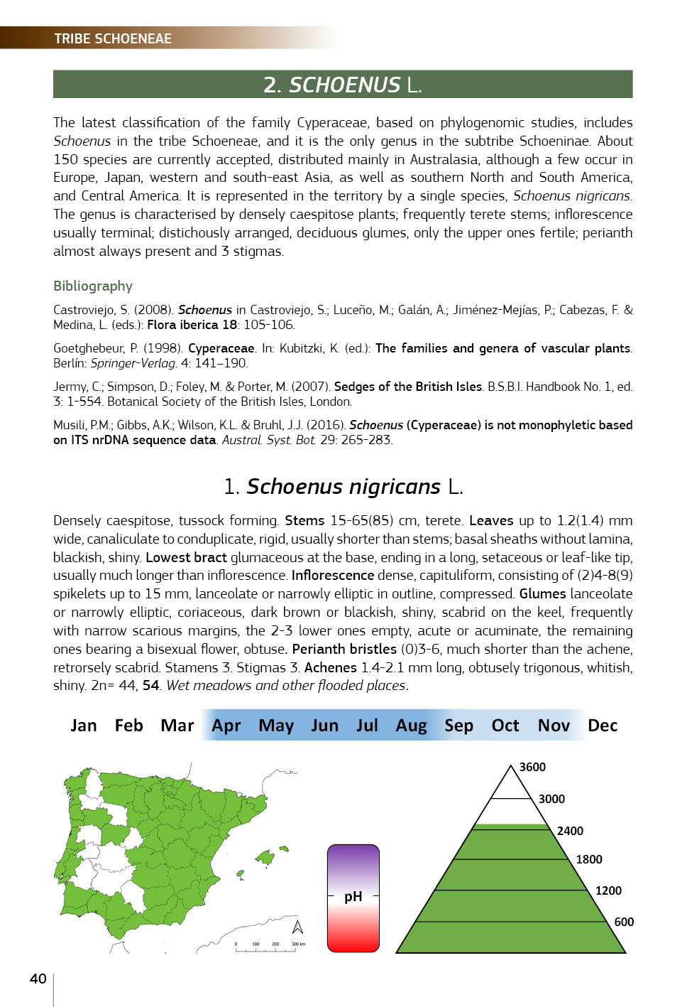 Field Guide of Spanish and Portuguese Sedges (Cyperaceae)