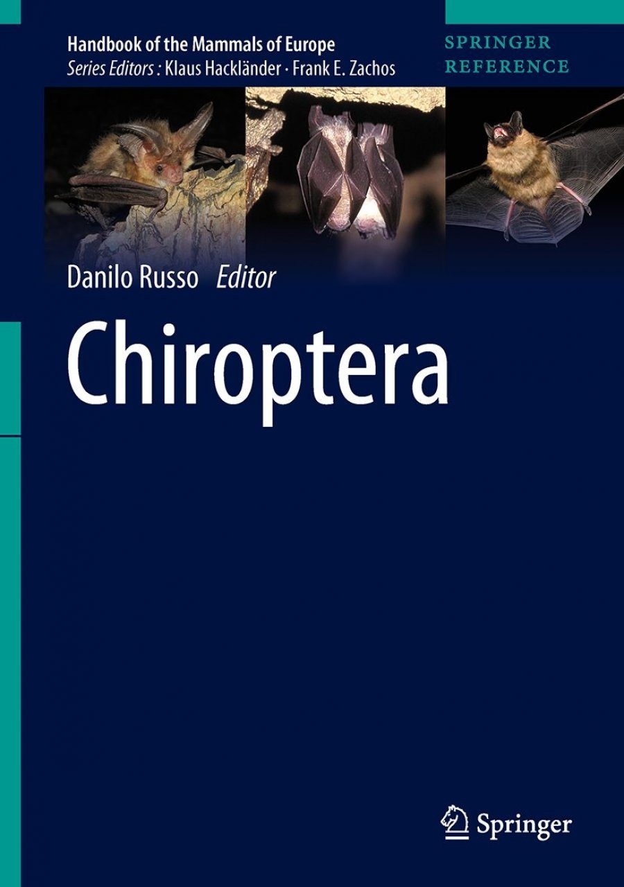 Chiroptera