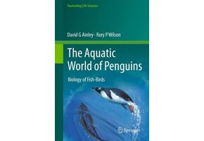 The Aquatic World of Penguins