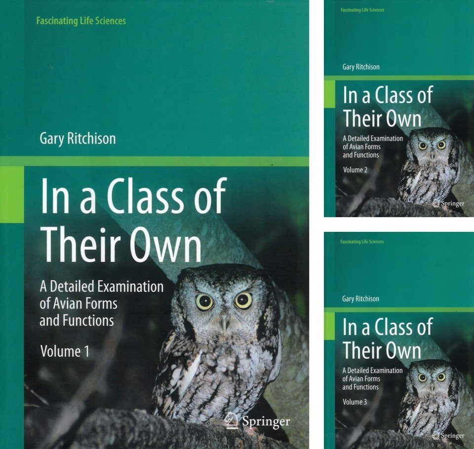 In a Class of Their Own (3-Volume Set) - A Detailed Examination of Avian Forms and Functions