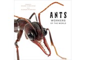 Ants - Workers of the World