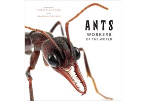 Ants - Workers of the World